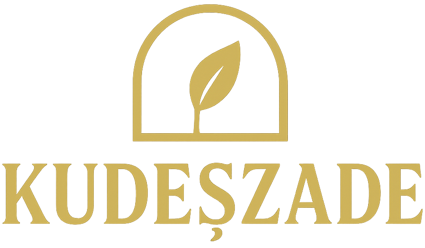 Kudeszade Logo